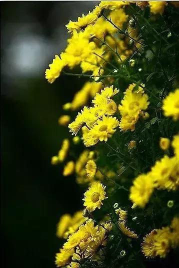 涨姿势为什么叫涨知识,涨姿势怎么解释