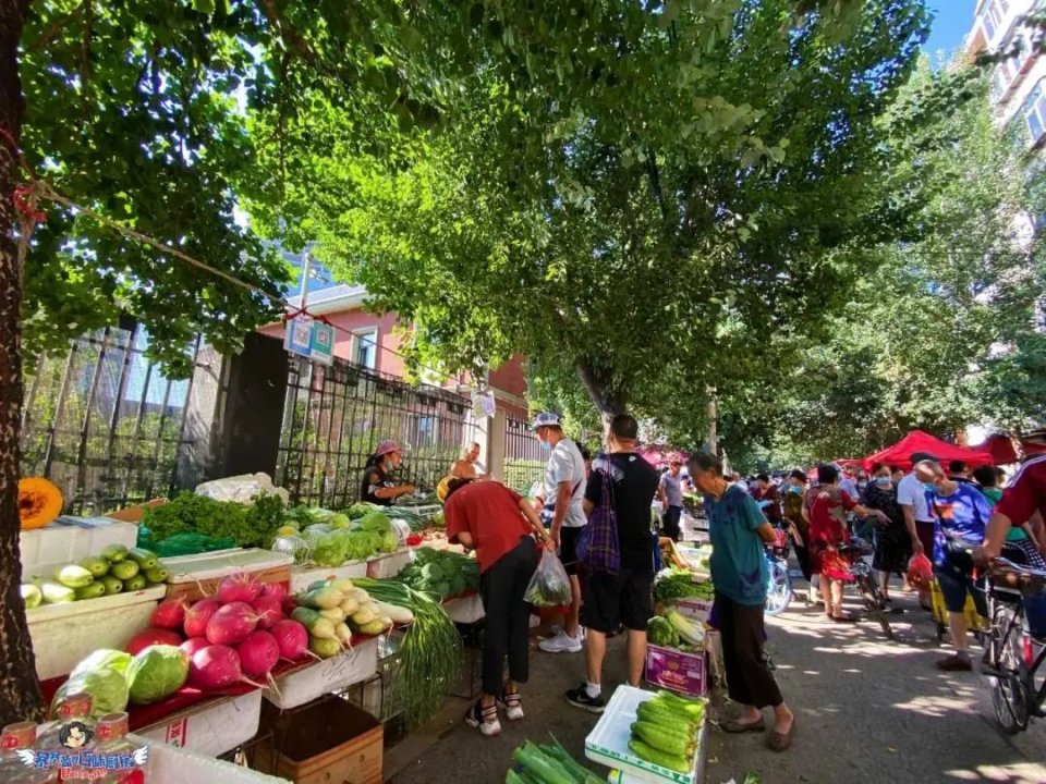 沈阳值得去的10个地方,沈阳最值得去的10个地方