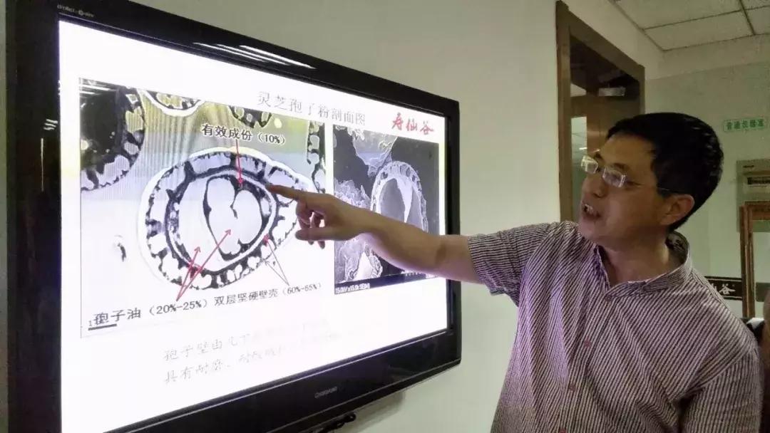 2022年寿仙谷杯省运会,寿仙谷比赛