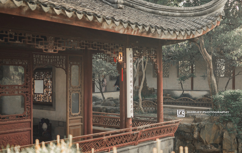 苏州旅游最不能错过的江南园林,留园拙政园是苏州著名的园林