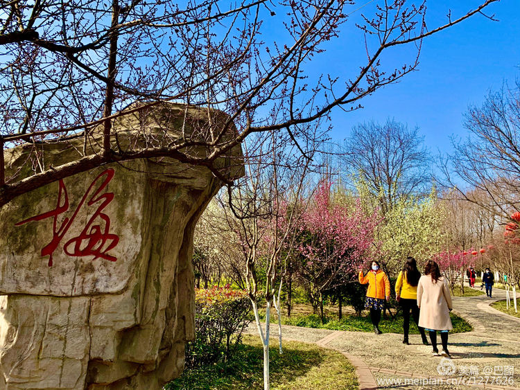 100张洛阳美女照片,100张洛阳女人图片