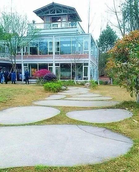 九莲小学怎么样,九莲小学