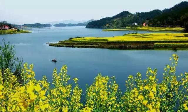 陕西省哪些市发展好,陕西各个县发展排名