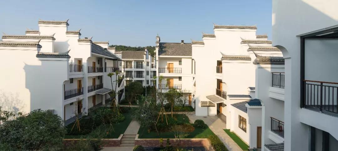 名仕杯全国业余围棋公开赛,2024全国业余围棋公开赛