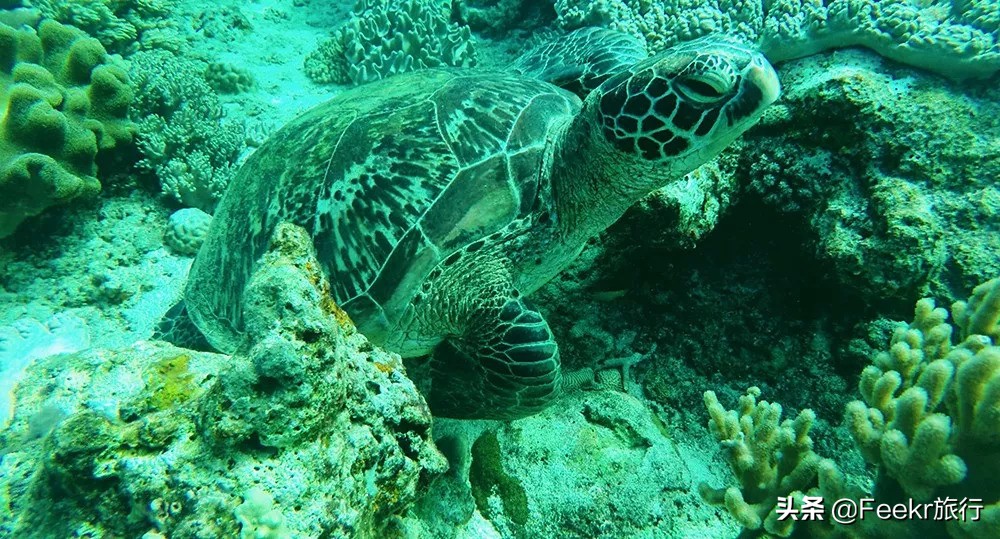 最不想分享的小众海岛,小众海岛旅行