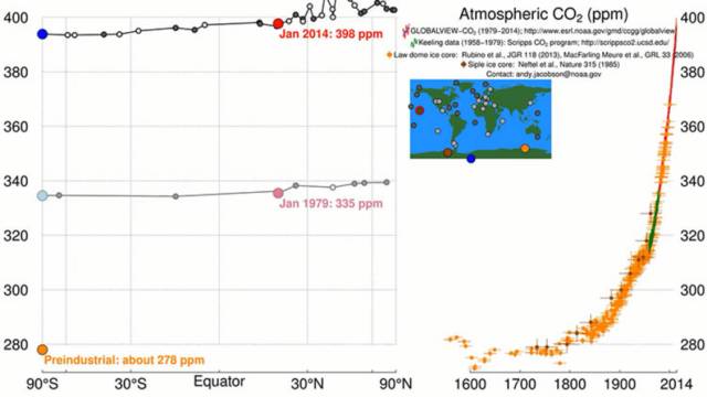 考拉或将被列为濒危物种,人类只要活着,就在物种灭绝做“贡献”