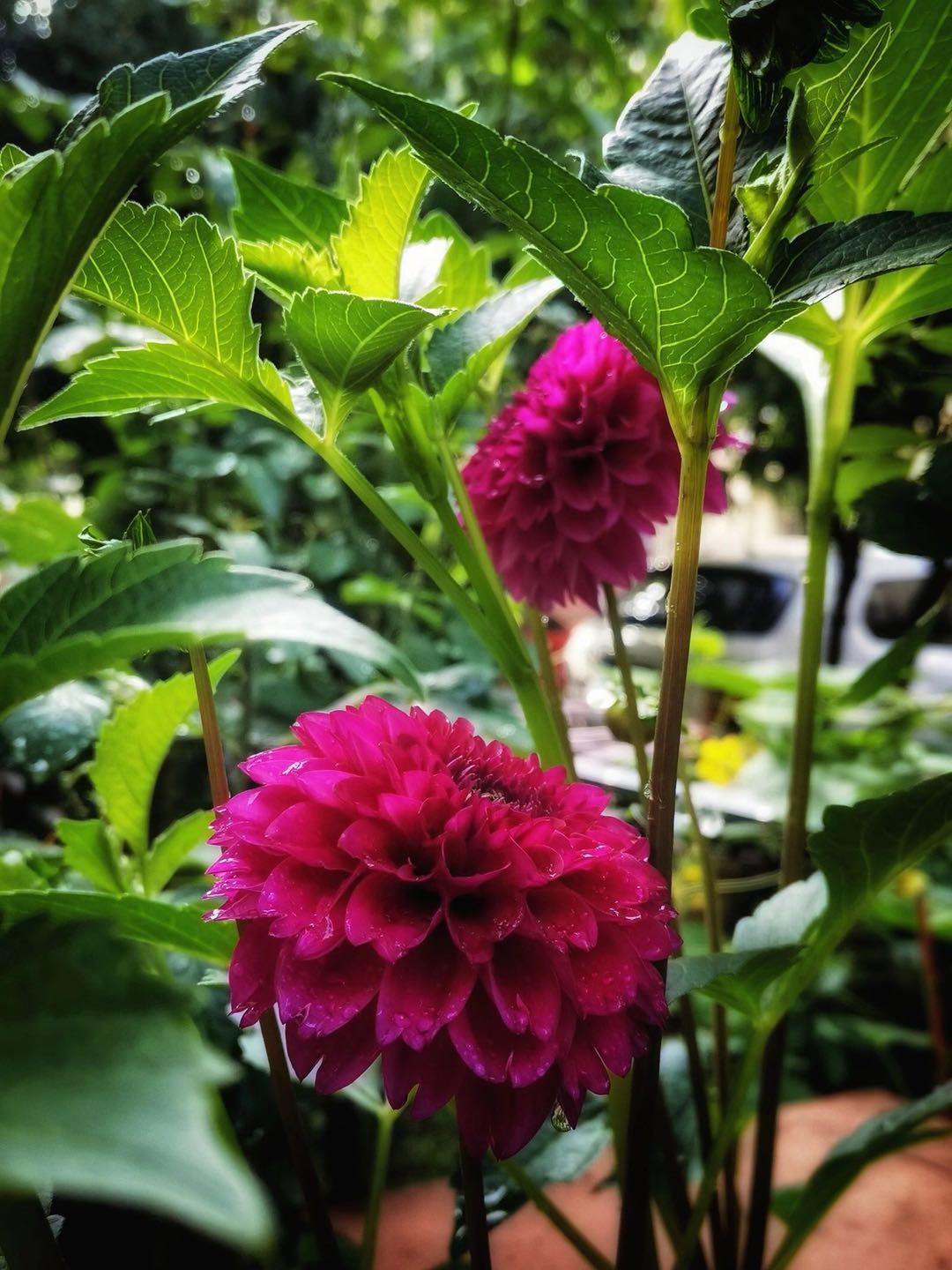 一句话让别人觉得你过得很好,让别人觉得你的好才是春风