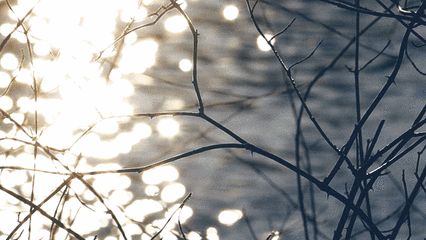 @老铁们你眼中的运河是怎样的?大胆秀出来~