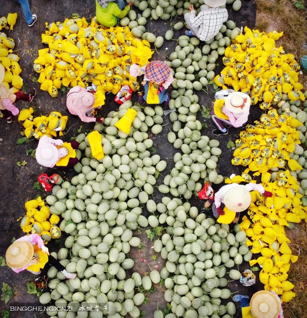 海南乐东九所康养度假村,海南乐东九所康养基地有哪些