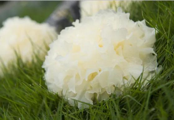 平价款前男友面膜,和前男友面膜差不多的面膜