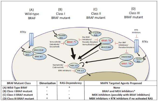 直肠癌brafv600e基因突变严重吗,brafv600e基因突变大肠癌生存期