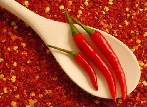 无辣不欢的我粤菜,无辣不欢的我不能再吃辣原版