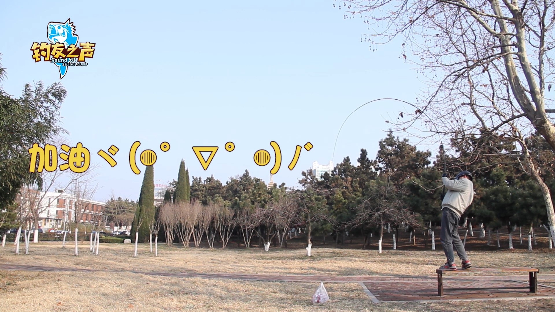 汉鼎鲢鳙魂鱼竿手竿台钓竿,汉鼎鱼竿超轻超硬手竿碳素台钓竿