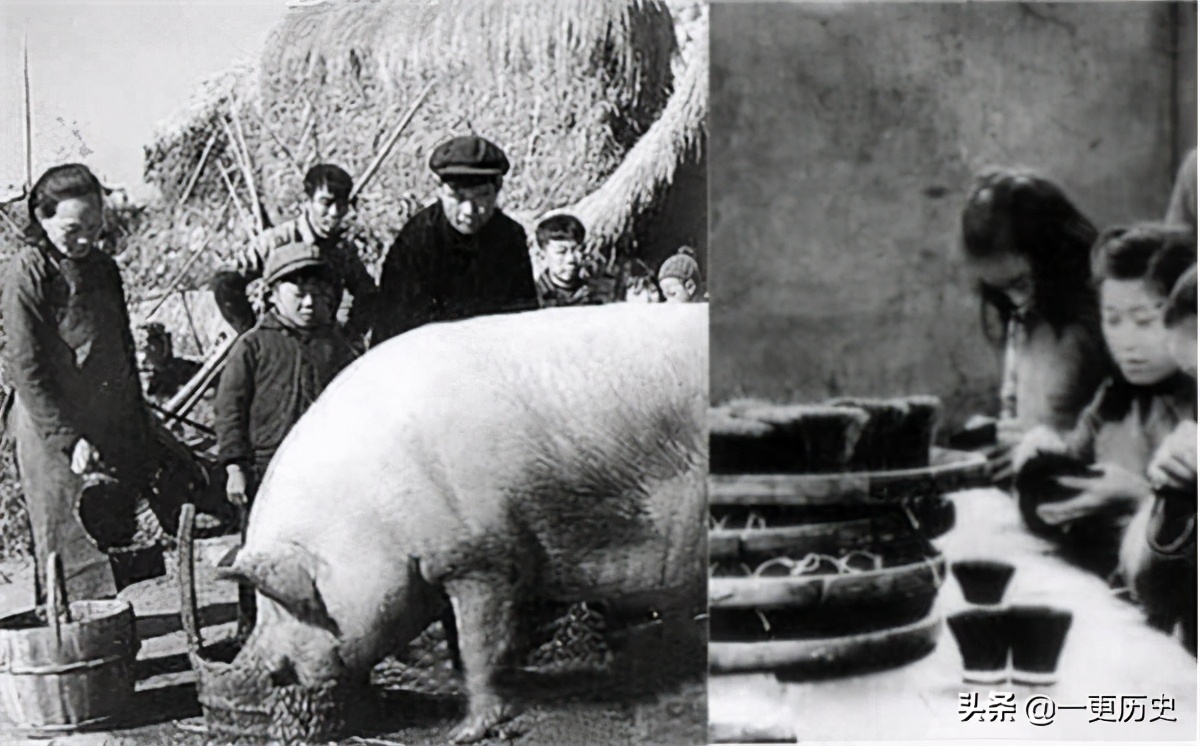 猪身上的这块毛,是抗美援朝时的战略物资,我国出口量排世界第一