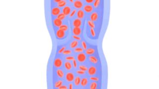 杜昕医生,杜昕安贞医院