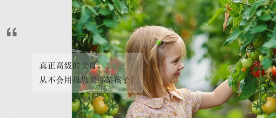 中国式教育不懂感恩的孩子,没有良心不懂感恩的孩子如何教