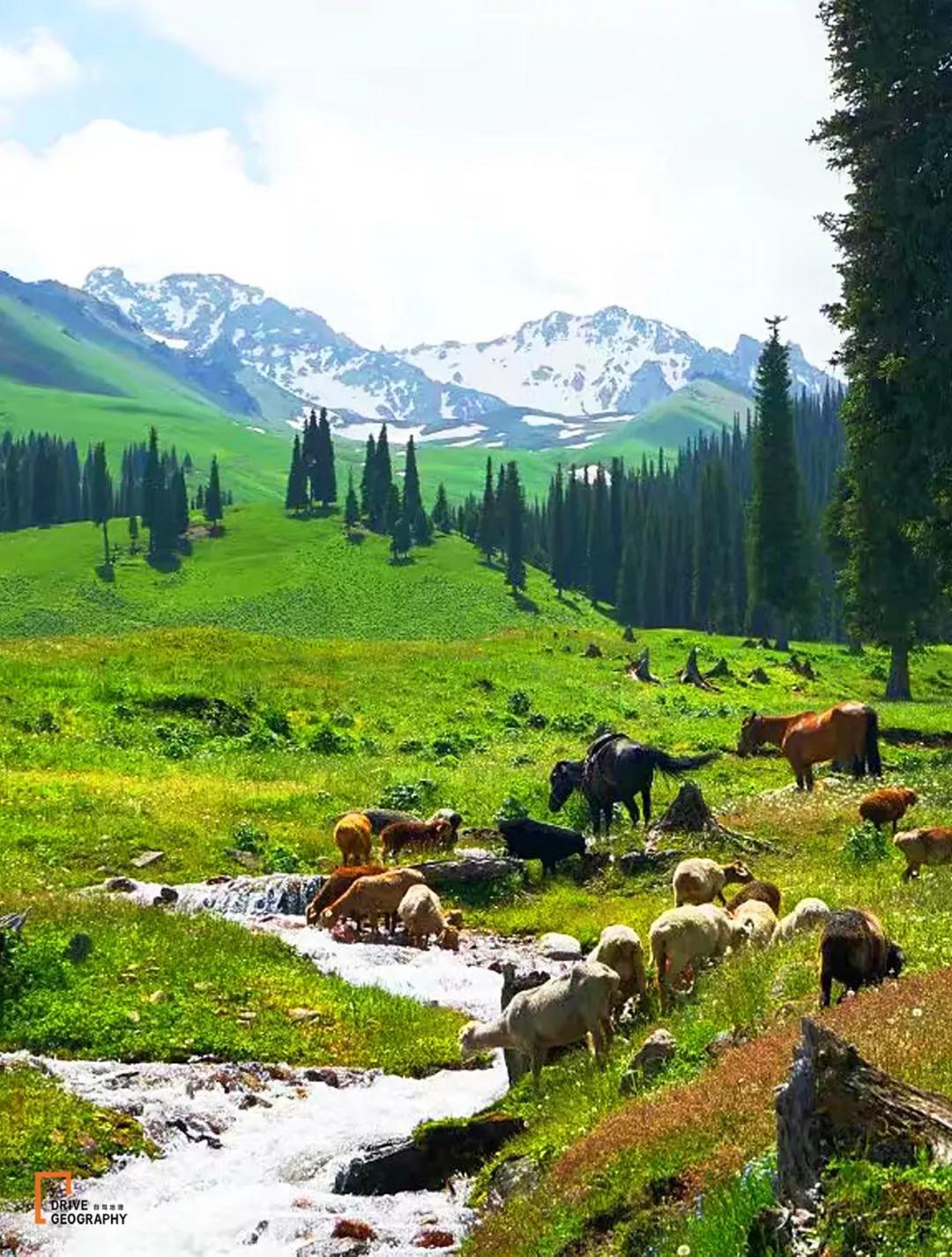 值得走一遭的网红公路,全疆最美的公路