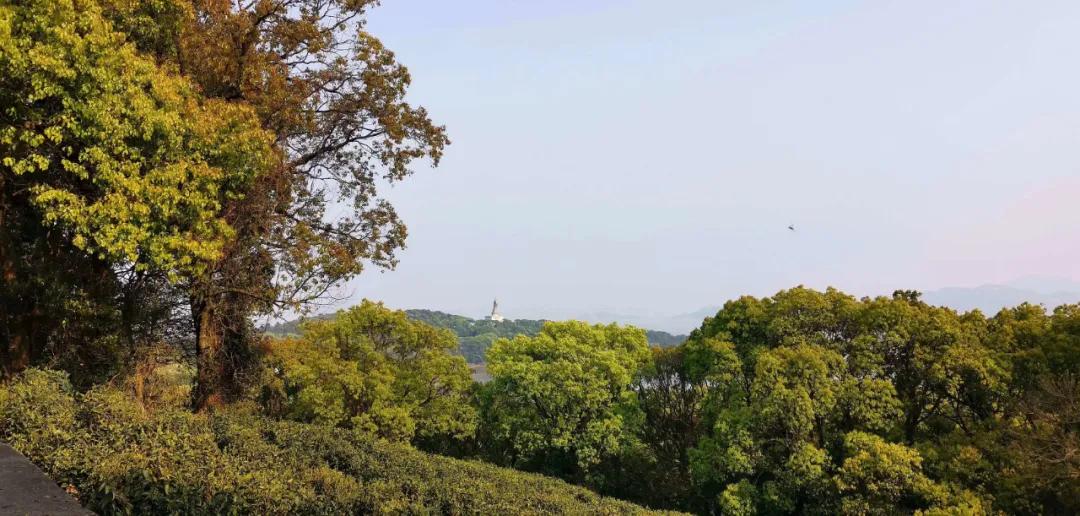 普陀山当导游工资高吗,普陀山旅游团导游一个月工资多少