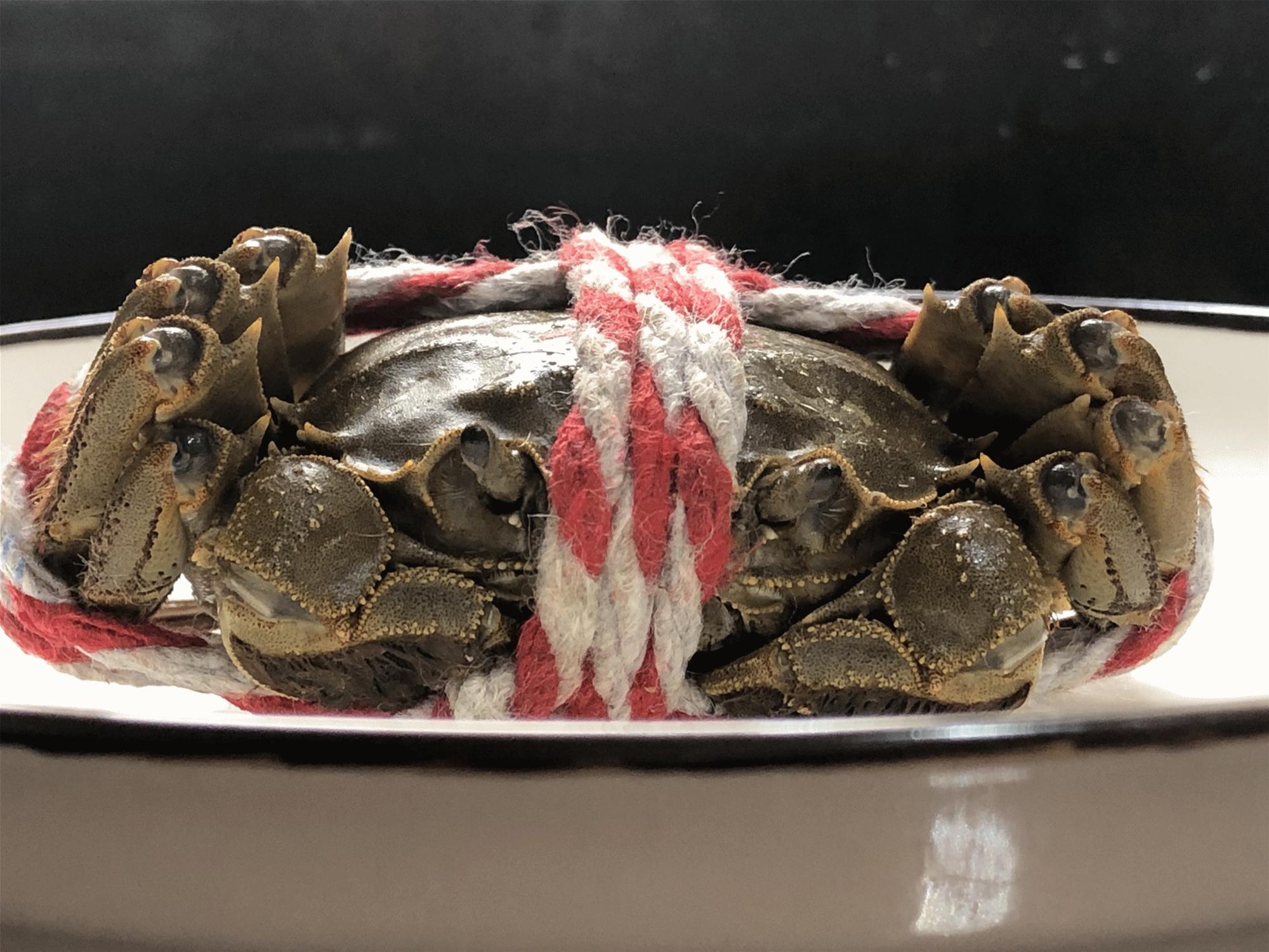 大闸蟹什么季节的肉比较肥,怎么挑大闸蟹又肥又鲜南方