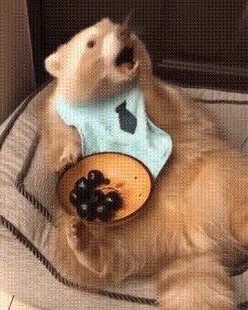 看了整整七分钟，他们最终还是上去了