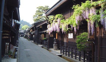 名古屋中部机场购物攻略,名古屋新特利亚机场