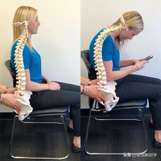 瑜伽怎么训练脊柱灵活性,瑜伽脊柱练习有哪些动作