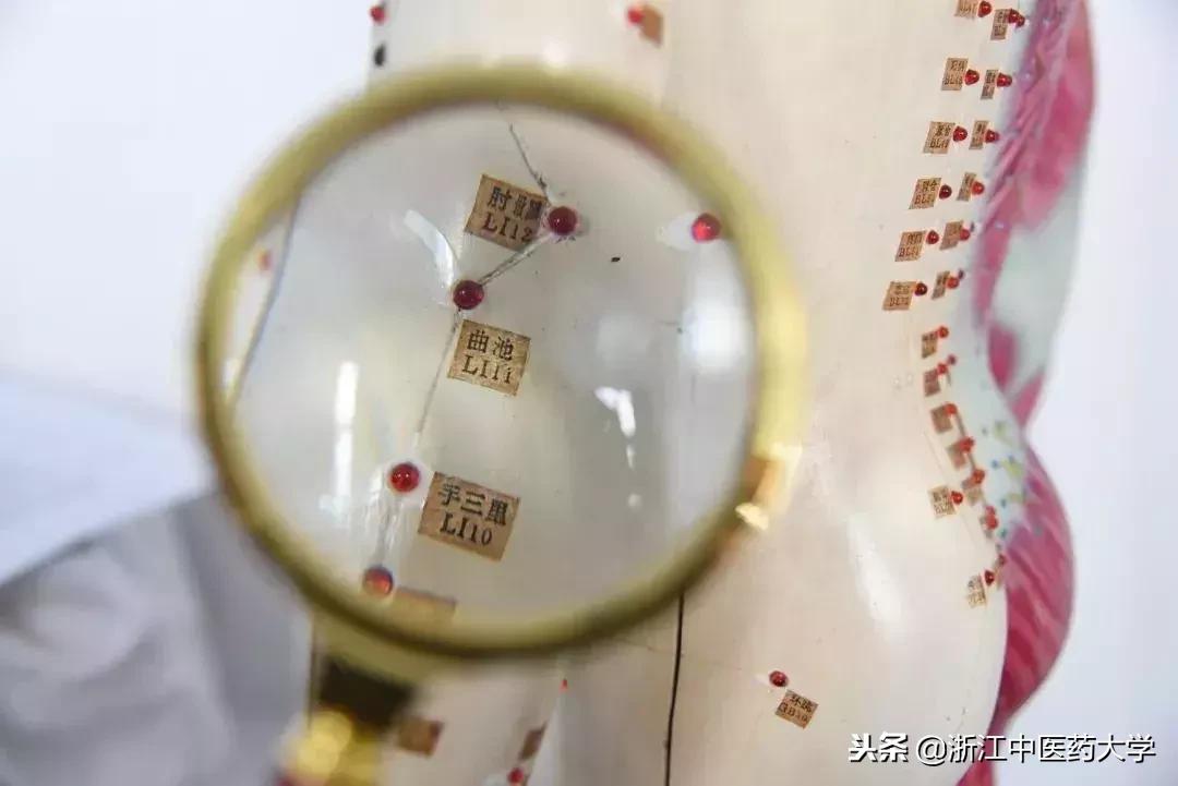 用镜头诉说中医药之美