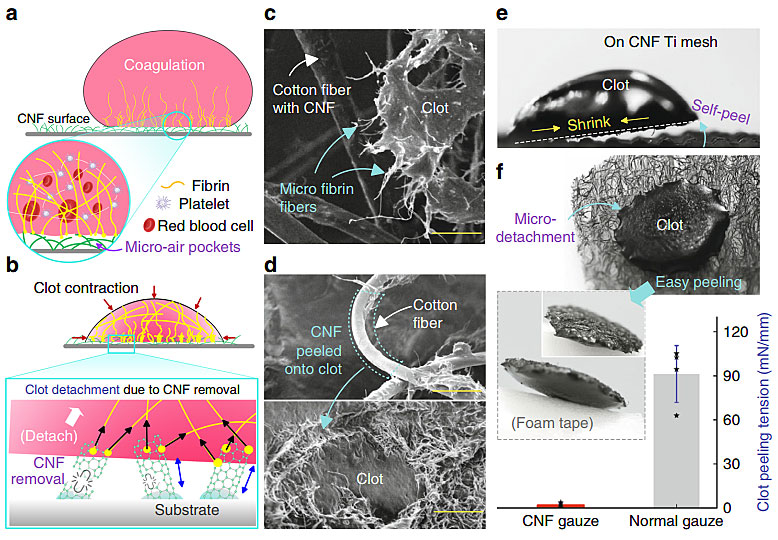 医用防粘连纱布,医用即溶止血纱布图片