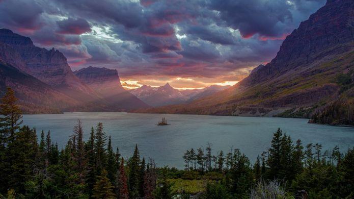 一张照片导致安卓手机纷纷瘫痪,摄影师站出来“道歉”