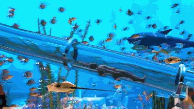 上海深坑酒店房间装修效果图,深坑酒店房似锦后续