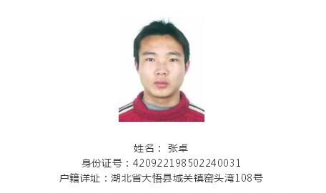 13名涉黑涉恶通缉犯落网,大悟扫黑除恶通缉犯名单图片