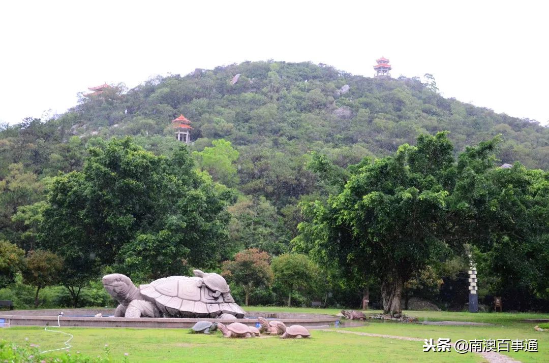 登上山顶鸟瞰全景,汕头濠江山顶看海