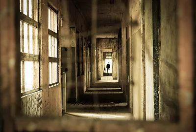 无生产许可证生产种子怎么处理,四种情况无须种子生产经营许可证