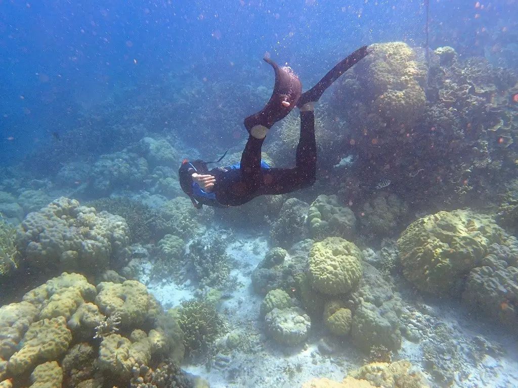 帕劳归来不看海谁说的,帕劳归来不看海