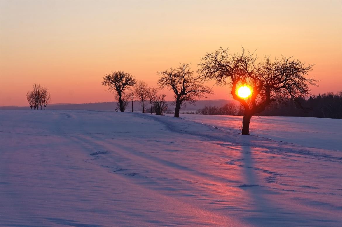 正官庄高丽红参40支37.5克18年的,正官庄红参对身体有什么益处