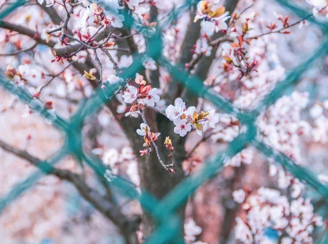 西南民大值得去读吗,西南民大是什么级别