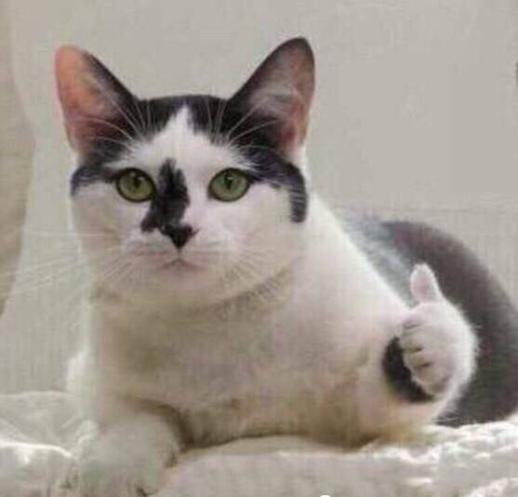 对苏宁易购的看法和总结,苏宁易购深度解读