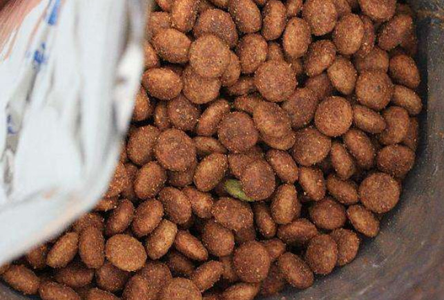 狗粮夏天可以放多长时间,狗粮储存不当感染细菌