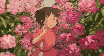 过年必逛花卉市场,北京值得去的花卉市场