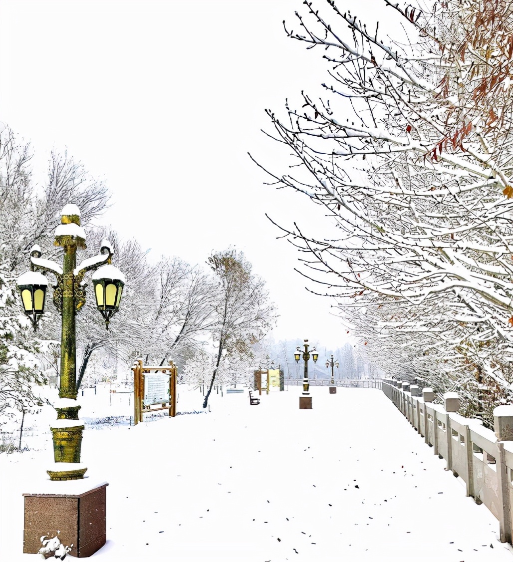 关于初雪的唯美现代诗词,关于初雪的诗句古诗名句