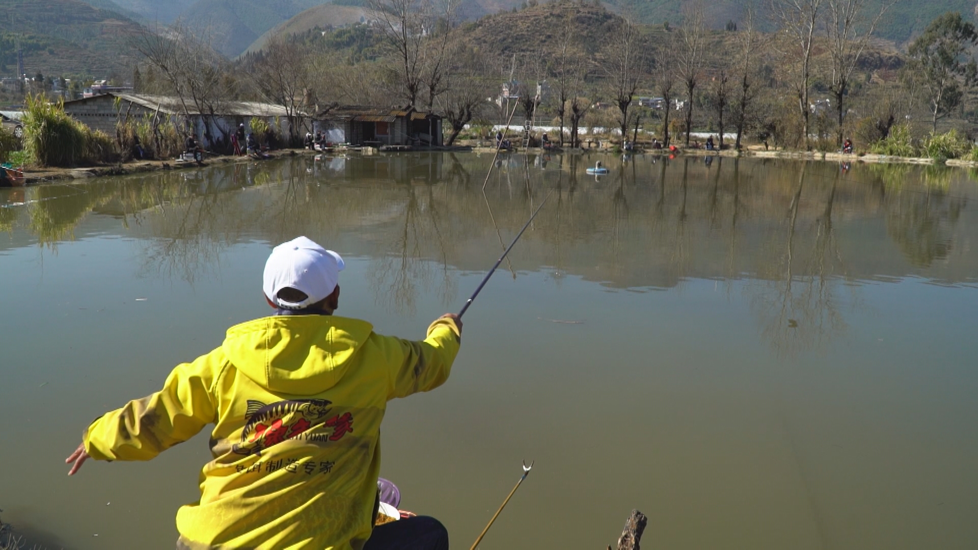 200元左右偷驴竿子,200元偷驴