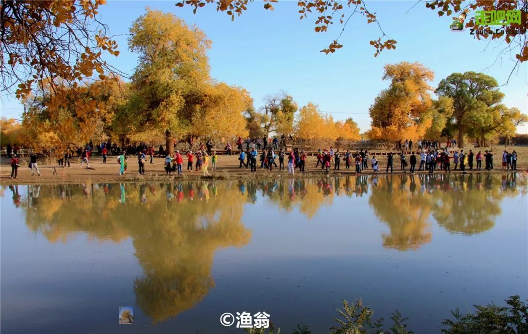 额济纳胡杨林自驾游详细攻略,宝鸡自驾往额济纳胡杨林攻略