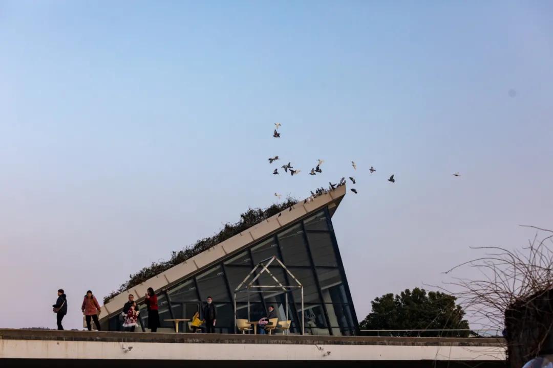 苏州小众却很棒的地方,五一来苏州必去的打卡地