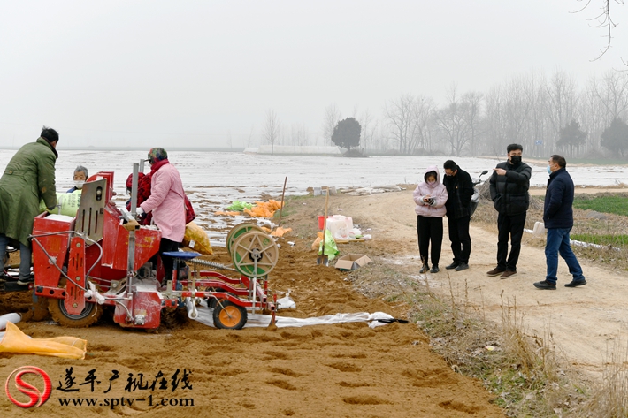 遂平褚堂办事处书记冯涛,遂平褚堂冯涛书记