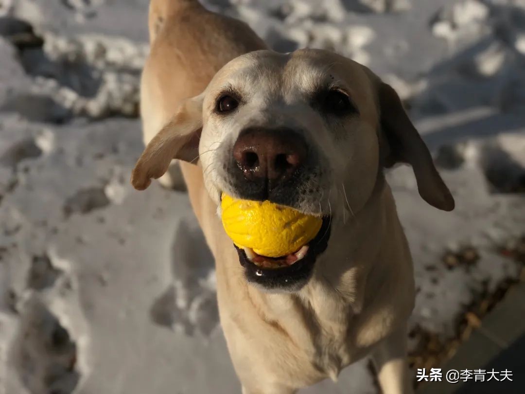 麦扣的家庭,麦扣的质感好物