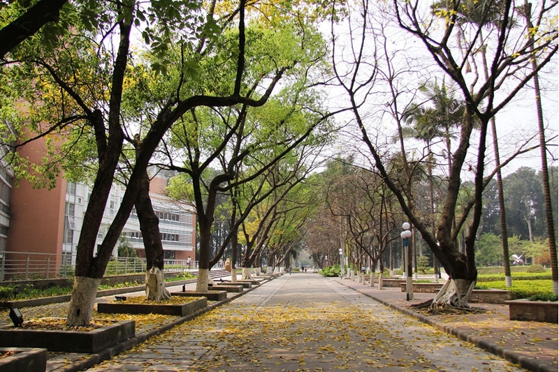 广东外语外贸大学1加2,广东外语外贸大学我们来了