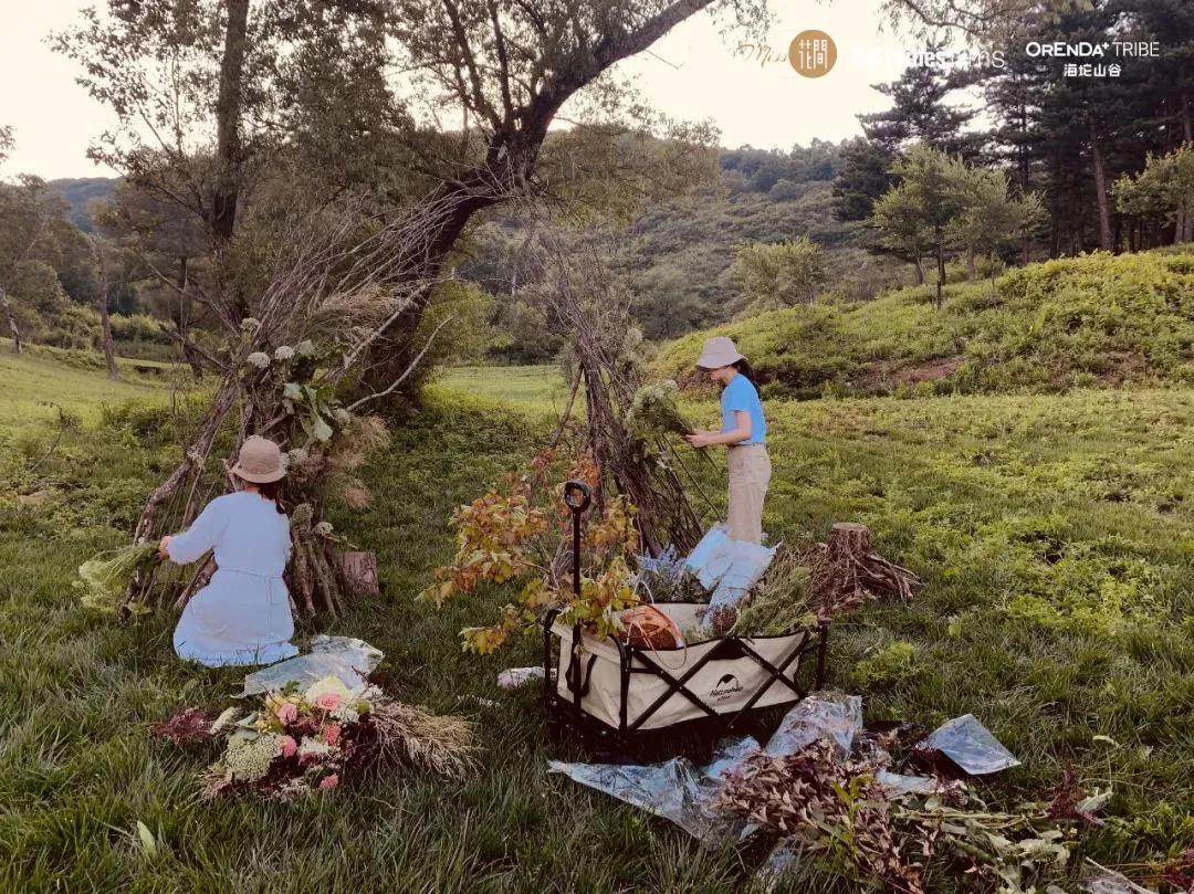 回望2020海坨耕耘路,以待2021山谷新美好