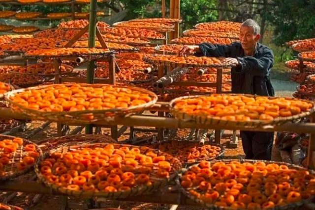 广西是一个环境优美的地方,广西是一个非常有意思的地方