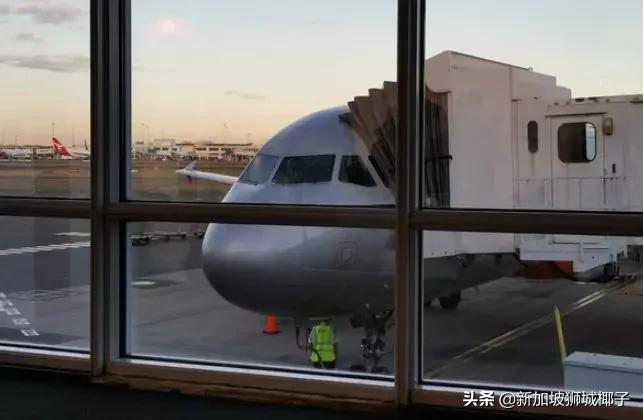 来新加坡海关注意八件事,新加坡进境严禁带什么