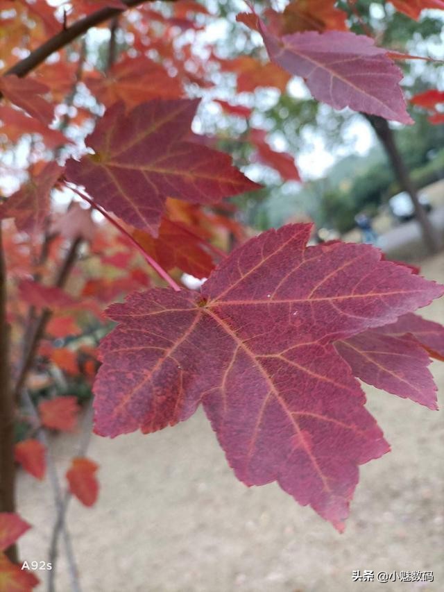 oppoa92s评测玩机报告,oppoa92s还值得入手吗